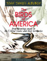 The Birds of America, from Drawings Made in the United States and Their Territories. Volume 7