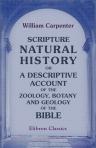 Scripture Natural History: or, a Descriptive Account of the Zoology, Botany, and Geology of the Bible