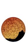 Études sur l'astronomie indienne et sur l'astronomie chinoise