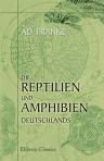 Die Reptilien und Amphibien Deutschlands