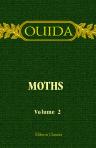 Moths. Volume 2