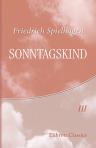 Sonntagskind. Roman in sechs Büchern. Band 3