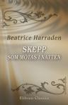 Skepp, som mötas i natten