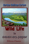 Wild Life in Canara and Ganjam