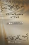 A Demigod. A Novel