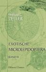 Exotische Microlepidoptera. Band II