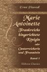 Marie Antoinette, Frankreichs hingerichtete Königin, oder: Oesterreicherin und Französin. Historisch-romantische Geschichte. Band 1