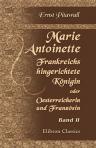 Marie Antoinette, Frankreichs hingerichtete Königin, oder: Oesterreicherin und Französin. Historisch-romantische Geschichte. Band 2