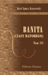 Banita. (Czasy Batorego). Przez J.I. Kraszewskiego. Tom 3