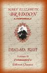Dead-Sea Fruit. Volume II