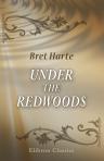 Under the Redwoods